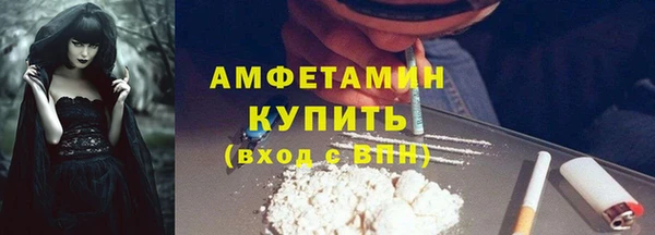 шишки Богородицк